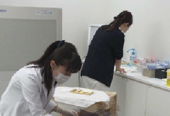 客人案例：B8客户在日本医院顺利完成了干细胞注射